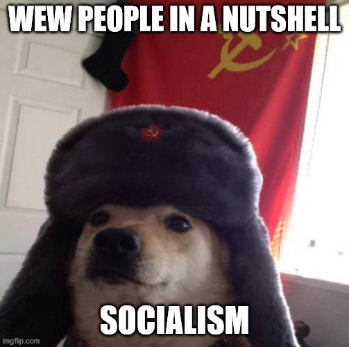 WEW PEOPLE IN A NUTSHELL SOCIALISM | image tagged in russian doge | made w/ Imgflip meme maker