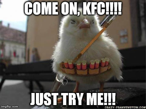 shotgun chicken | image tagged in funny,animals,chicken,kfc | made w/ Imgflip meme maker