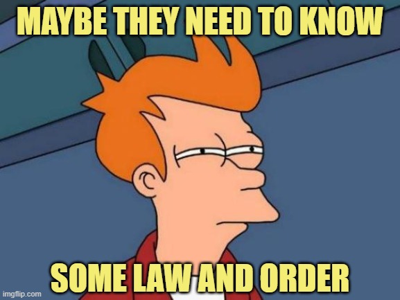 Futurama Fry Meme | MAYBE THEY NEED TO KNOW SOME LAW AND ORDER | image tagged in memes,futurama fry | made w/ Imgflip meme maker