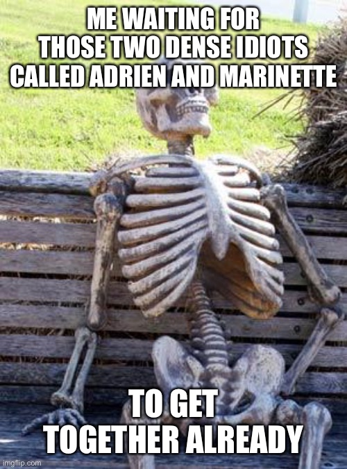Waiting Skeleton | ME WAITING FOR THOSE TWO DENSE IDIOTS CALLED ADRIEN AND MARINETTE; TO GET TOGETHER ALREADY | image tagged in memes,waiting skeleton | made w/ Imgflip meme maker