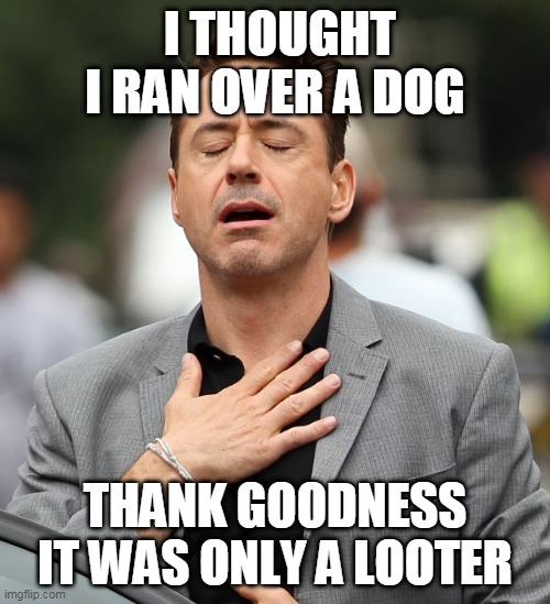 protesters and looters | I THOUGHT I RAN OVER A DOG; THANK GOODNESS IT WAS ONLY A LOOTER | image tagged in protesters,looters,riot,patriotic,distractions | made w/ Imgflip meme maker