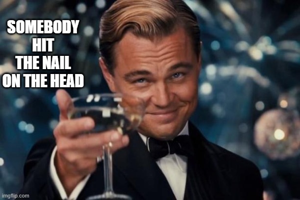 Leonardo Dicaprio Cheers Meme | SOMEBODY HIT THE NAIL ON THE HEAD | image tagged in memes,leonardo dicaprio cheers | made w/ Imgflip meme maker