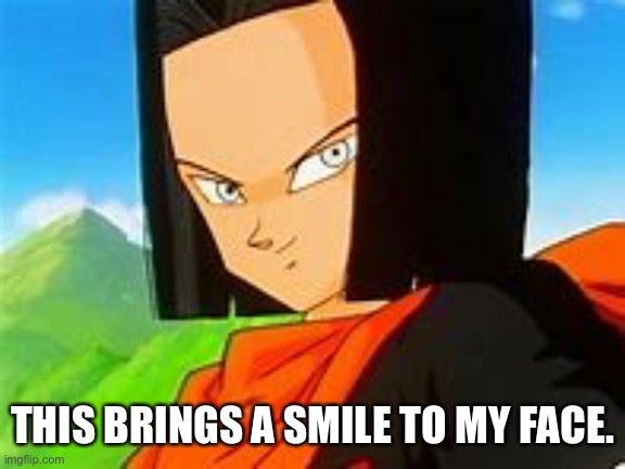Android 17 Smile | THIS BRINGS A SMILE TO MY FACE. | image tagged in android 17 smile | made w/ Imgflip meme maker