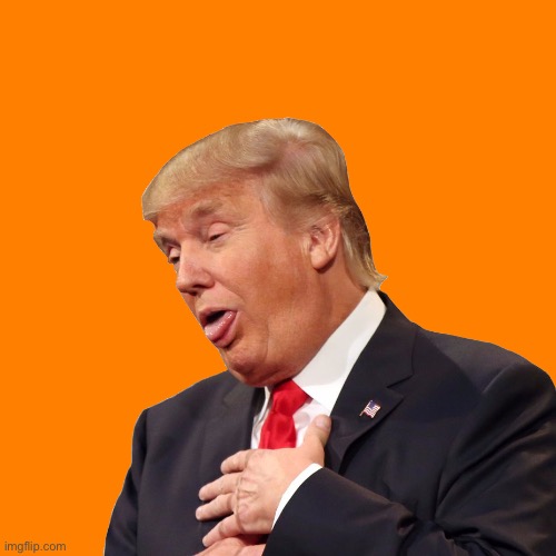 Orange Pun Blank Meme Template