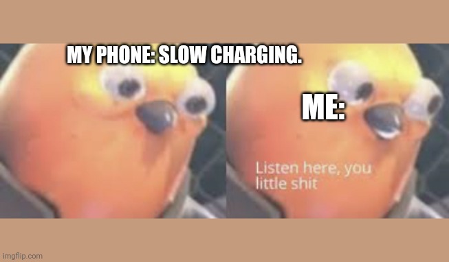 Seriously it just happened | MY PHONE: SLOW CHARGING. ME: | image tagged in why is this in gaming | made w/ Imgflip meme maker