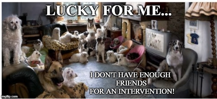 Dog Party | LUCKY FOR ME... I DON'T HAVE ENOUGH 
FRIENDS
 FOR AN INTERVENTION! | image tagged in dog party | made w/ Imgflip meme maker
