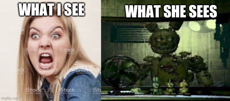 Stalker... | WHAT I SEE; WHAT SHE SEES | image tagged in fnaf springtrap in window,fnaf,springtrap,five nights at freddys,screaming | made w/ Imgflip meme maker