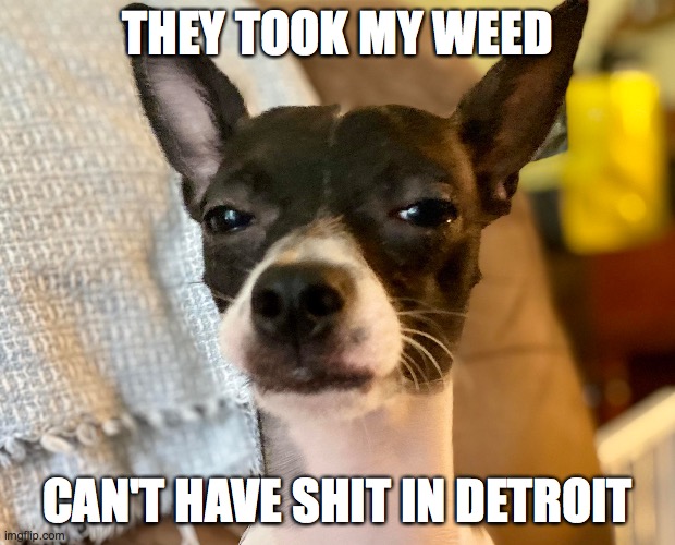 THEY TOOK MY WEED; CAN'T HAVE SHIT IN DETROIT | image tagged in memes | made w/ Imgflip meme maker