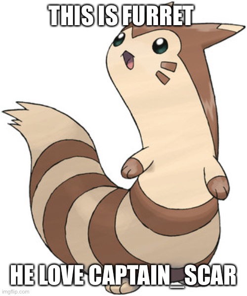 Furret | THIS IS FURRET; HE LOVE CAPTAIN_SCAR | image tagged in furret | made w/ Imgflip meme maker