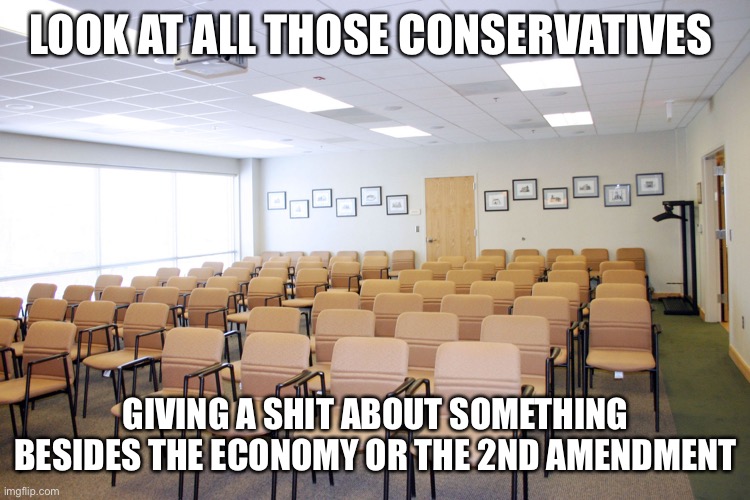 Empty room with chairs | LOOK AT ALL THOSE CONSERVATIVES GIVING A SHIT ABOUT SOMETHING BESIDES THE ECONOMY OR THE 2ND AMENDMENT | image tagged in empty room with chairs | made w/ Imgflip meme maker