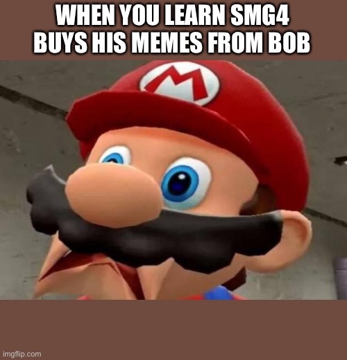 So bob is a meme lord now....? | WHEN YOU LEARN SMG4 BUYS HIS MEMES FROM BOB | image tagged in mario wtf | made w/ Imgflip meme maker