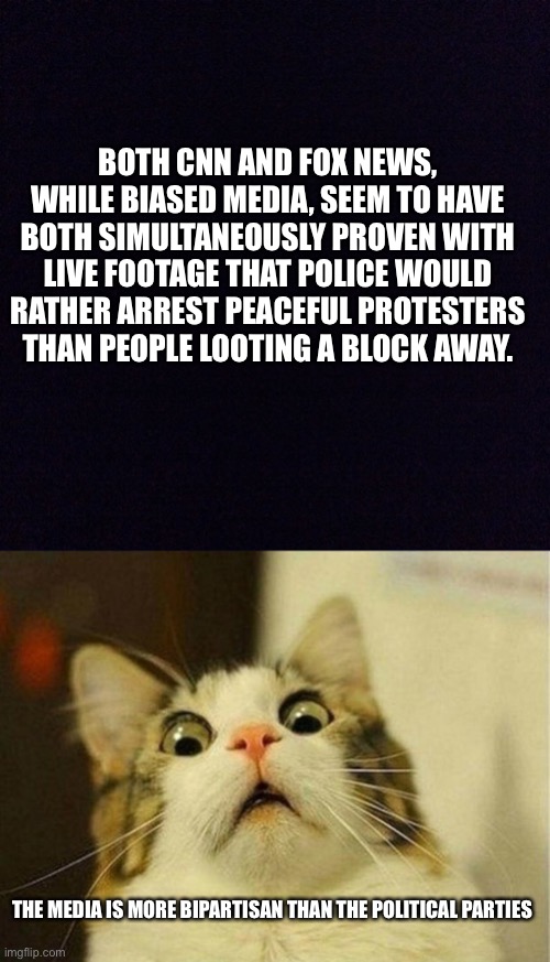 Unity in unexpected ways | BOTH CNN AND FOX NEWS, WHILE BIASED MEDIA, SEEM TO HAVE BOTH SIMULTANEOUSLY PROVEN WITH LIVE FOOTAGE THAT POLICE WOULD RATHER ARREST PEACEFUL PROTESTERS THAN PEOPLE LOOTING A BLOCK AWAY. THE MEDIA IS MORE BIPARTISAN THAN THE POLITICAL PARTIES | image tagged in memes,scared cat,black screen,democrats,republicans,biased media | made w/ Imgflip meme maker