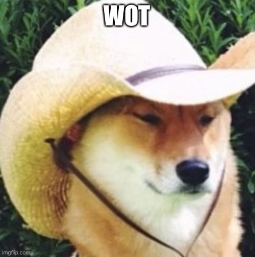 Wot in tarnation | WOT | image tagged in wot in tarnation | made w/ Imgflip meme maker