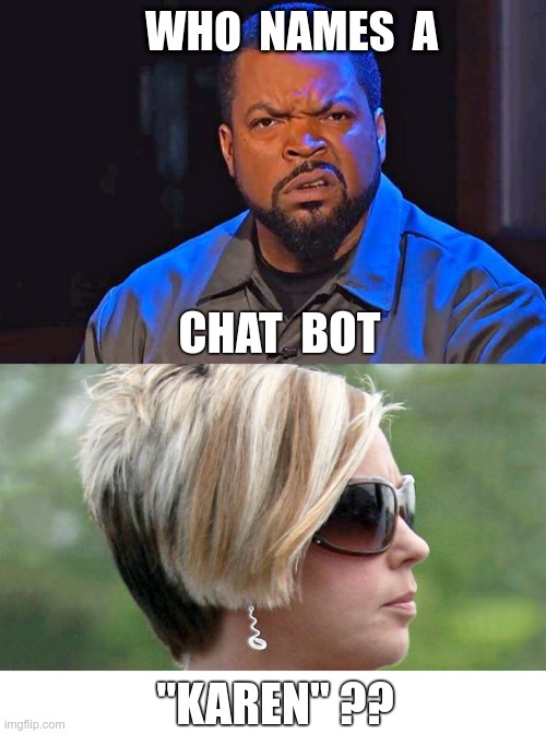 INTRODUCING OUR CHAT BOT! | WHO  NAMES  A; CHAT  BOT; "KAREN" ?? | image tagged in ice cube wtf face,karen,chat bot,dark humor,rick75230 | made w/ Imgflip meme maker