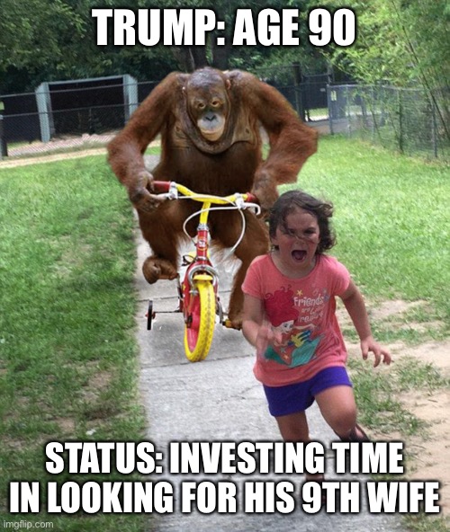 Orangutan chasing girl on a tricycle | TRUMP: AGE 90 STATUS: INVESTING TIME IN LOOKING FOR HIS 9TH WIFE | image tagged in orangutan chasing girl on a tricycle | made w/ Imgflip meme maker