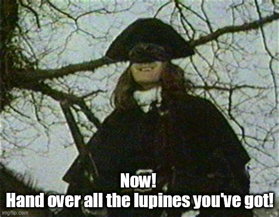 Now! 
Hand over all the lupines you've got! | image tagged in dennis moore,lupines,monty python | made w/ Imgflip meme maker
