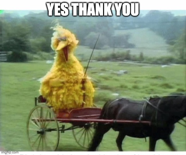 Big Bird in Carriage | YES THANK YOU | image tagged in big bird in carriage | made w/ Imgflip meme maker