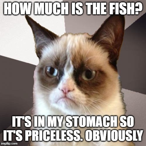 Musically Malicious Grumpy Cat | HOW MUCH IS THE FISH? IT'S IN MY STOMACH SO IT'S PRICELESS. OBVIOUSLY | image tagged in musically malicious grumpy cat,grumpy cat,scooter,90s,music,grumpy cat not amused | made w/ Imgflip meme maker