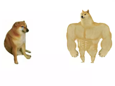 High Quality buff doge vs cheems reversed Blank Meme Template