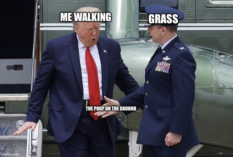 Trump refuses handshake | ME WALKING; GRASS; THE POOP ON THE GROUND | image tagged in trump refuses handshake | made w/ Imgflip meme maker