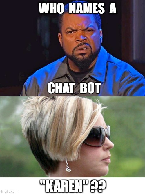 Check Out Our New Chat Bot! | WHO NAMES A; CHAT BOT; "KAREN" ?? | image tagged in ice cube wtf face,karen,chat bot,dark humor,rick75230 | made w/ Imgflip meme maker