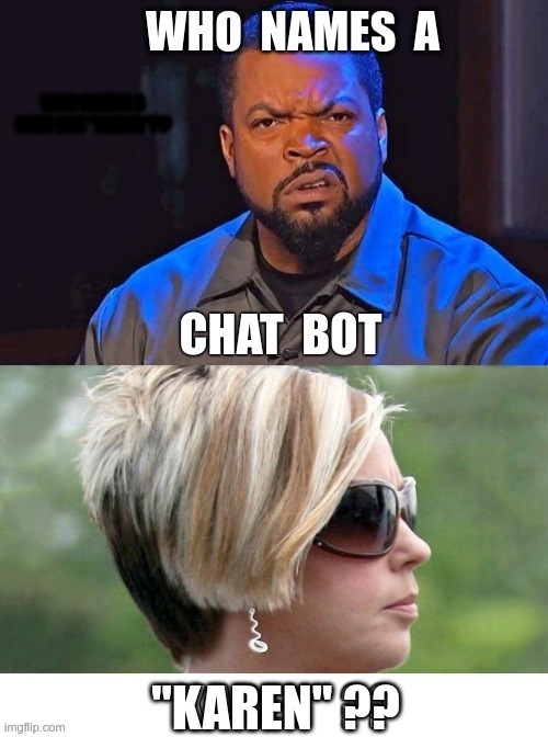 We Finally Have A Chat Bot | WHO NAMES A CHAT BOT "KAREN"?? | image tagged in ice cube wtf face,karen,chat bot,dark humor,rick75230 | made w/ Imgflip meme maker