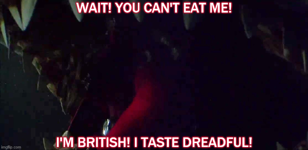 WAIT! YOU CAN'T EAT ME! I'M BRITISH! I TASTE DREADFUL! | image tagged in jaws,3d,shark,great britain,food,tongue in cheek | made w/ Imgflip meme maker