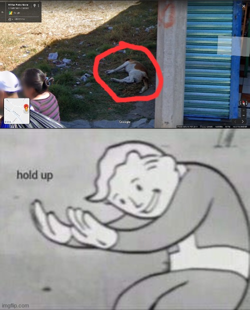 google maps is cursed case closed | image tagged in fallout hold up | made w/ Imgflip meme maker