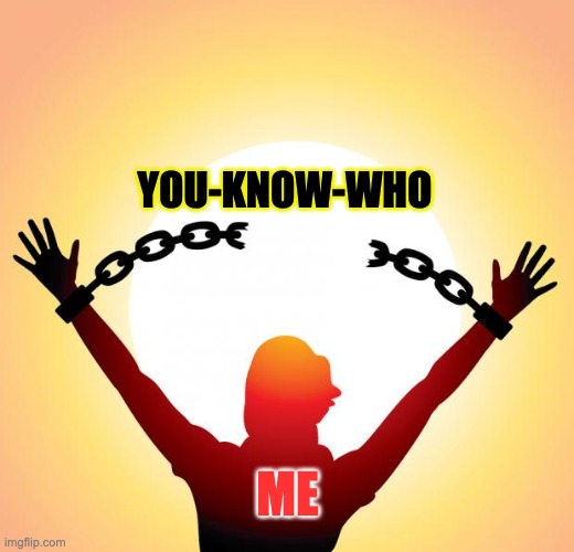 freedom | YOU-KNOW-WHO ME | image tagged in freedom | made w/ Imgflip meme maker