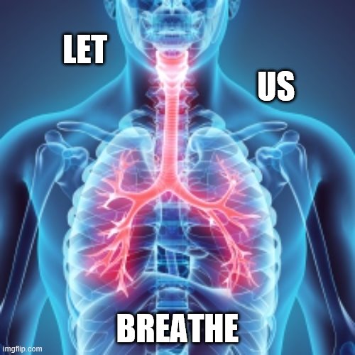 Let Us Breathe | LET                                                              US; BREATHE | image tagged in black lives matter,anti-stigma,protest,george floyd,justice,police brutality | made w/ Imgflip meme maker