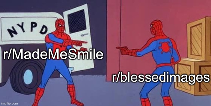 Spider Man Double | r/MadeMeSmile; r/blessedimages | image tagged in spider man double | made w/ Imgflip meme maker