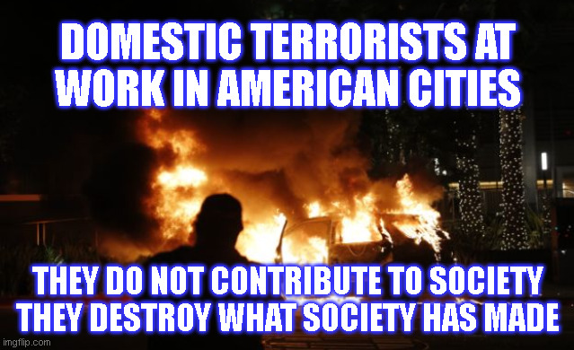 DOMESTIC TERRORISTS AT
WORK IN AMERICAN CITIES; THEY DO NOT CONTRIBUTE TO SOCIETY
THEY DESTROY WHAT SOCIETY HAS MADE | made w/ Imgflip meme maker