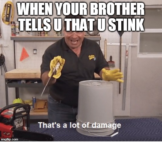 Thats alot of damage | WHEN YOUR BROTHER TELLS U THAT U STINK | image tagged in thats alot of damage | made w/ Imgflip meme maker