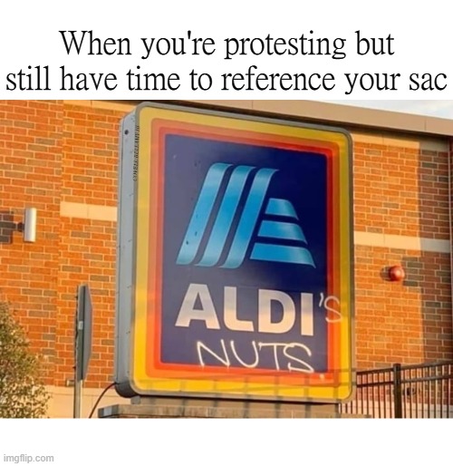 When you're protesting but still have time to reference your sac; COVELL BELLAMY III | image tagged in protesting sac reference | made w/ Imgflip meme maker