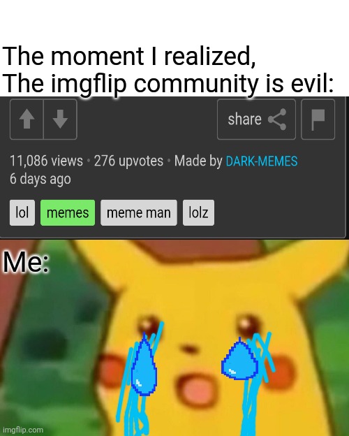 THAT MANY VEIWS AND VERY LITTLE UPVOTES?!?!?????? | The moment I realized,
The imgflip community is evil:; Me: | image tagged in memes,surprised pikachu,crying | made w/ Imgflip meme maker