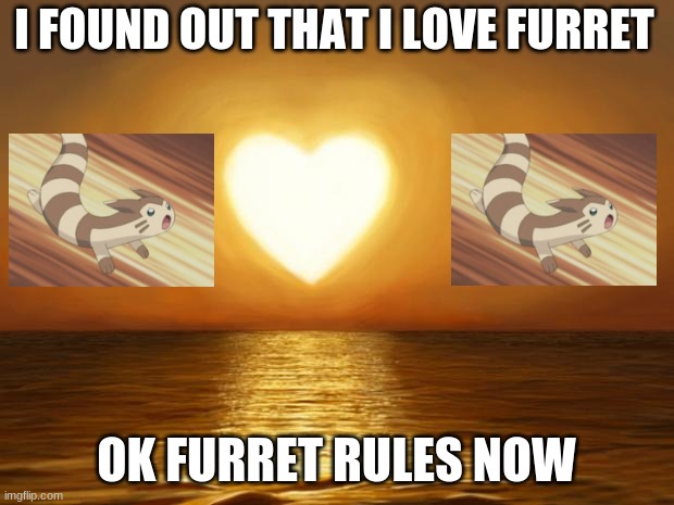 ITS SO CUTE | I FOUND OUT THAT I LOVE FURRET; OK FURRET RULES NOW | image tagged in love,furret,pokemon,cute | made w/ Imgflip meme maker