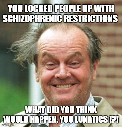 Jack Nicholson Crazy Hair | YOU LOCKED PEOPLE UP WITH SCHIZOPHRENIC RESTRICTIONS; WHAT DID YOU THINK WOULD HAPPEN, YOU LUNATICS !?! | image tagged in jack nicholson crazy hair | made w/ Imgflip meme maker