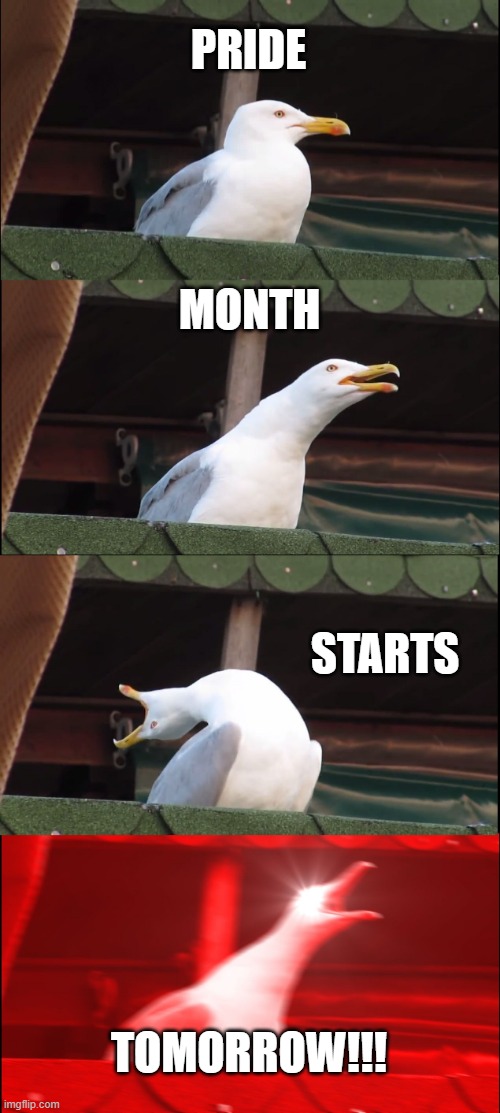 Inhaling Seagull | PRIDE; MONTH; STARTS; TOMORROW!!! | image tagged in memes,inhaling seagull | made w/ Imgflip meme maker