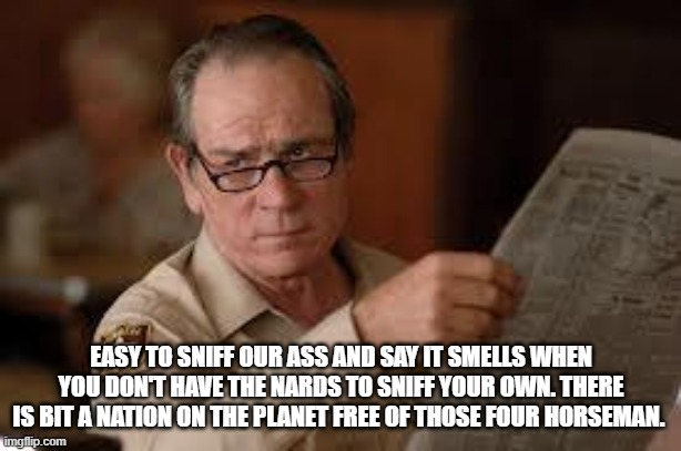 no country for old men tommy lee jones | EASY TO SNIFF OUR ASS AND SAY IT SMELLS WHEN YOU DON'T HAVE THE NARDS TO SNIFF YOUR OWN. THERE IS BIT A NATION ON THE PLANET FREE OF THOSE F | image tagged in no country for old men tommy lee jones | made w/ Imgflip meme maker