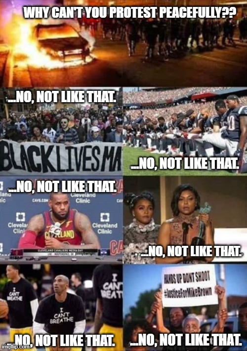 Repost, but damn its good | WHY CAN'T YOU PROTEST PEACEFULLY?? ...NO, NOT LIKE THAT. ...NO, NOT LIKE THAT. ...NO, NOT LIKE THAT. ...NO, NOT LIKE THAT. ...NO, NOT LIKE THAT. ...NO, NOT LIKE THAT. | image tagged in hypocrisy,protest,america,racism | made w/ Imgflip meme maker