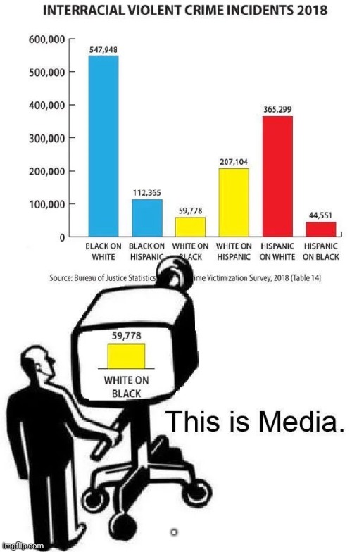 The Real Racists : Media | . | image tagged in media,riots | made w/ Imgflip meme maker