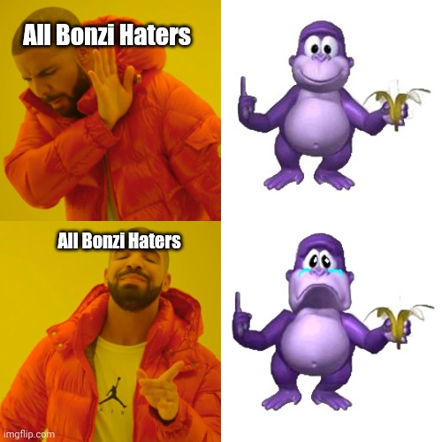 what is the deal with bonzi buddy