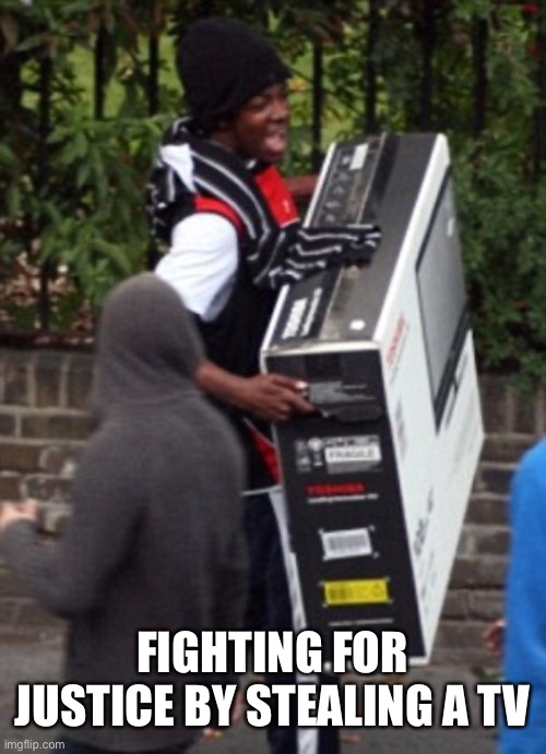 Just stop. You’re holding up the justice that we all want. | FIGHTING FOR JUSTICE BY STEALING A TV | image tagged in looters | made w/ Imgflip meme maker