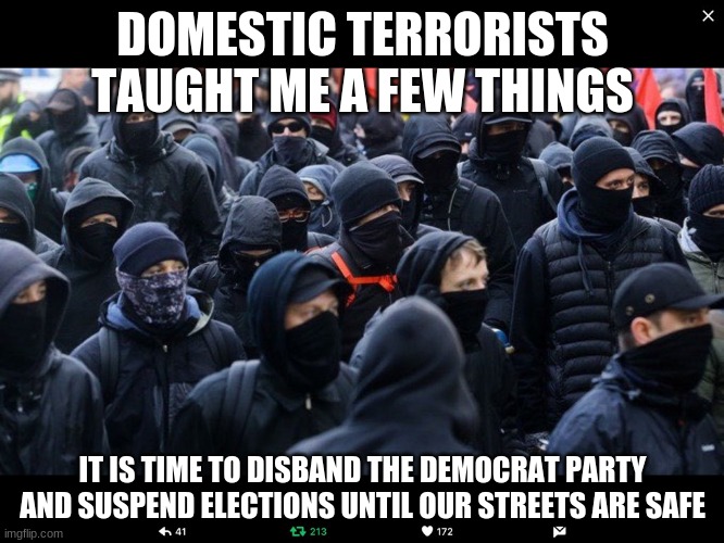 Suspend elections until our streets are safe | DOMESTIC TERRORISTS TAUGHT ME A FEW THINGS; IT IS TIME TO DISBAND THE DEMOCRAT PARTY AND SUSPEND ELECTIONS UNTIL OUR STREETS ARE SAFE | image tagged in antifa,suspend elections,disband the democrat party,arrest the traitors,domestic terrorists require a military responce,drain th | made w/ Imgflip meme maker