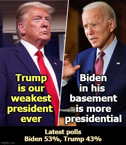 In times of crisis, we see what a president is made of. Trump is made of play dough. | Latest polls
Biden 53%, Trump 43% | image tagged in biden,presidential,trump,weak,incompetence | made w/ Imgflip meme maker