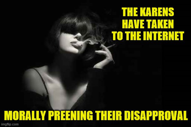 THE KARENS HAVE TAKEN TO THE INTERNET MORALLY PREENING THEIR DISAPPROVAL | made w/ Imgflip meme maker