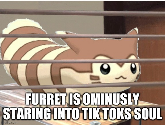 FURRET IS OMINUSLY STARING INTO TIK TOKS SOUL | made w/ Imgflip meme maker