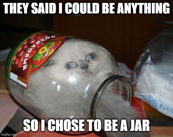 Shape Shifter | THEY SAID I COULD BE ANYTHING; SO I CHOSE TO BE A JAR | image tagged in funny cat | made w/ Imgflip meme maker