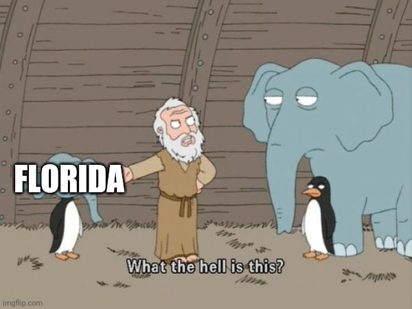 What the hell is this? | FLORIDA | image tagged in what the hell is this | made w/ Imgflip meme maker