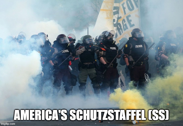 The New SS | AMERICA'S SCHUTZSTAFFEL (SS) | image tagged in schutzstaffel,ss,protest,police state | made w/ Imgflip meme maker
